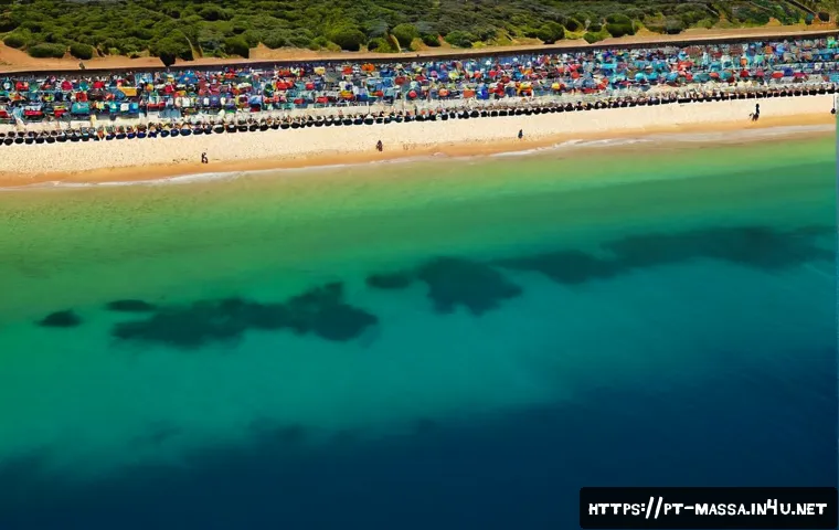 스포츠마사지사 교육비용 절감 팁 관련 이미지 2
